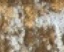 Swatch image