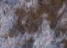 Swatch image
