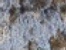 Swatch image