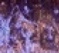 Swatch image