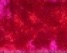Swatch image